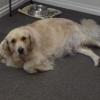 Meg in waiting
