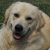 Nudge Smiling