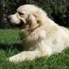 Jackson