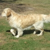 Nellie