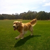 Shilo running