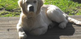 Nudge at 8 months