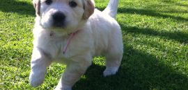Our little Nudge