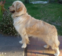 Meg  2015