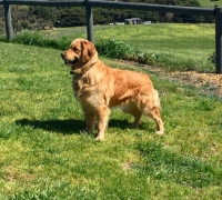 Della