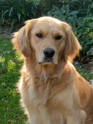 Lola