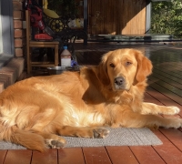 BONNIE 2