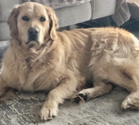 BONNIE 1